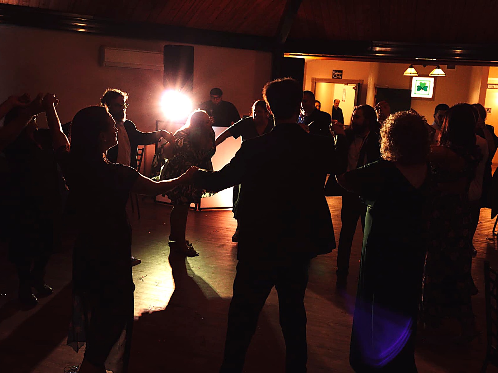Guests dancing at a lively private party